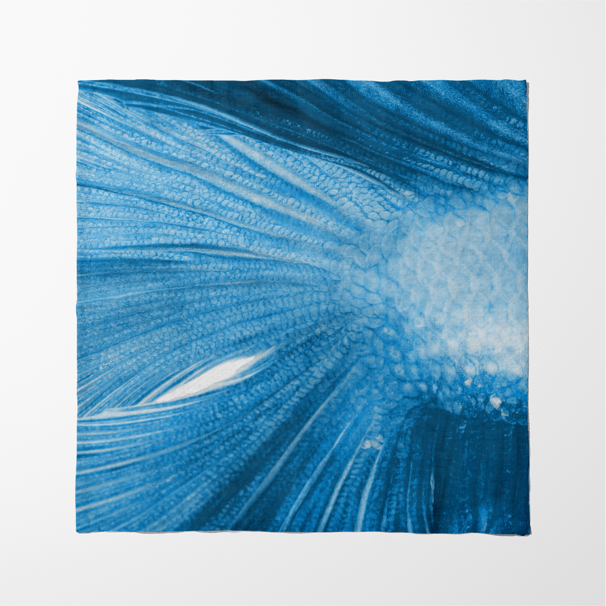 Bluegill Napkin in Pacific Ocean
