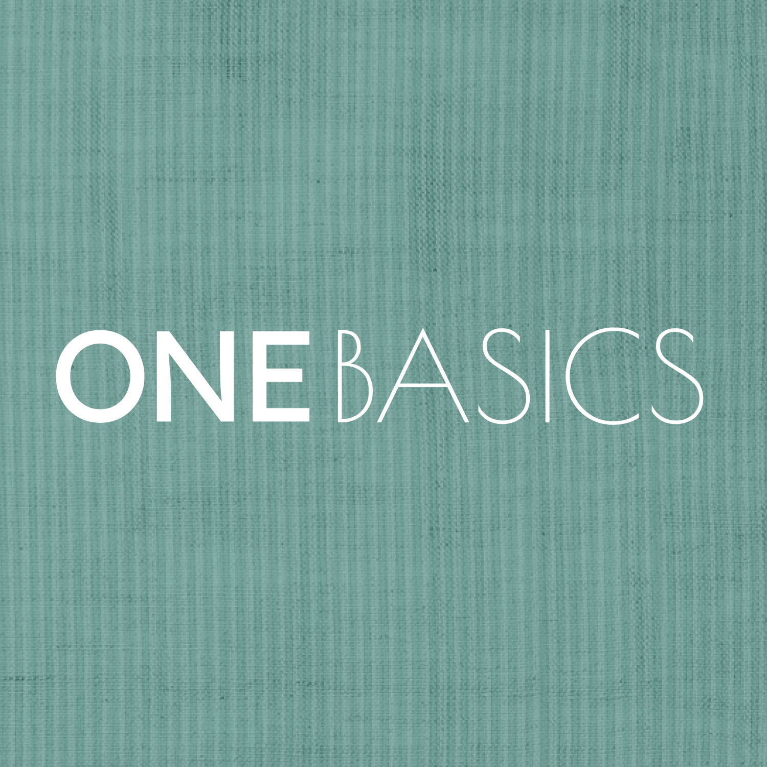 ONE Basics