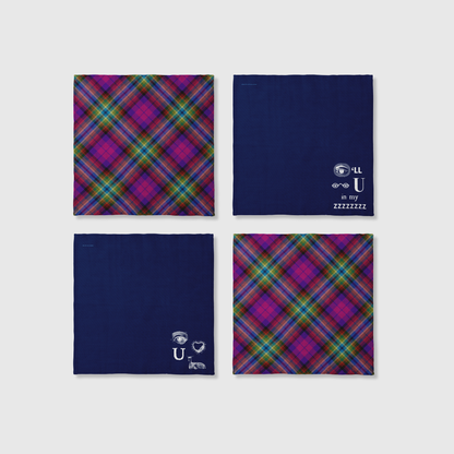 Plaid x Rebus Napkins in Blue | Set of 4