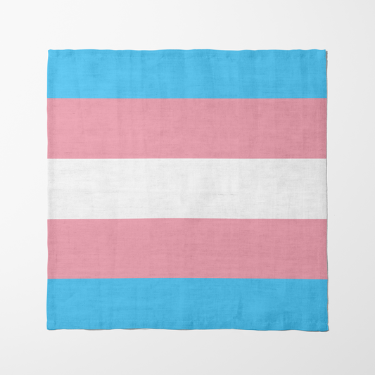 Transgender Flag Napkin
