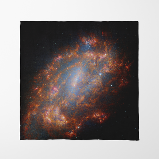 ONE Galaxy - Star Factory in Organic Cotton Voile